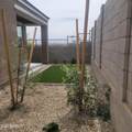11892 Burnside Trail - Photo 29