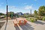 9318 Sector Drive - Photo 48