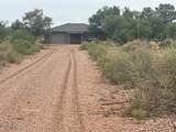 2384 Appaloosa Place - Photo 12
