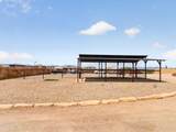 31829 Pamela Drive - Photo 85