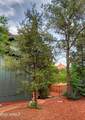 290 Coronado Trail - Photo 16