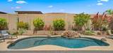 11588 Candelilla Way - Photo 39