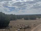 Lot 014E Wagon Lane - Photo 12