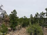 4918 Sunset Ridge Loop - Photo 10