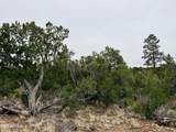 4918 Sunset Ridge Loop - Photo 3