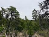 4918 Sunset Ridge Loop - Photo 4