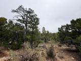 4918 Sunset Ridge Loop - Photo 5