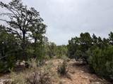 4918 Sunset Ridge Loop - Photo 6