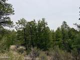 4918 Sunset Ridge Loop - Photo 8