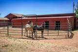 9900 Sycamore Pass Road - Photo 27