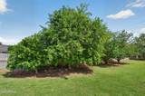 15623 Chapala Street - Photo 17