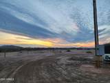 17692 Battaglia Drive - Photo 15
