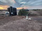 17692 Battaglia Drive - Photo 8