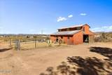 25325 Naples Street - Photo 24