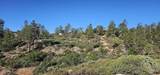 6303 Deer Run Road - Photo 4