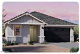 3242 263RD Drive - Photo 2