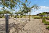 3983 Serpentine Drive - Photo 49
