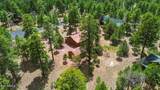 4265 Lodge Pole Place - Photo 42