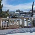 1646 Cactus Wren Road - Photo 1