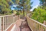 1646 Cactus Wren Road - Photo 11
