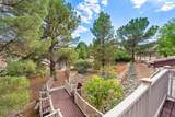 1646 Cactus Wren Road - Photo 14