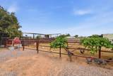 1251 Loveland Lane - Photo 103