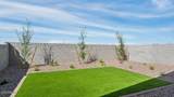34950 Lucca Drive - Photo 24