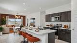 34950 Lucca Drive - Photo 8