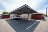 10428 Deanne Drive - Photo 15