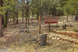 169 County Road 2108 - Photo 26