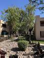 3131 Cochise Drive - Photo 5