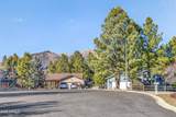 4172 Broken Rock Loop - Photo 36