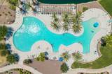 41778 Cactus Flower Drive - Photo 40