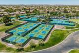 41778 Cactus Flower Drive - Photo 49