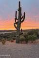 37455 Rincon Road - Photo 53