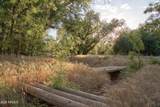 407 Loy Lane - Photo 62