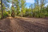2332 Hall Drive - Photo 67