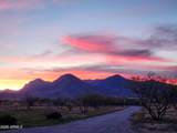 10847 Kings Ranch Road - Photo 43