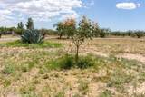 10847 Kings Ranch Road - Photo 47