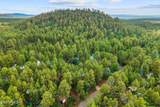 1785 Sierra Pine Loop - Photo 38