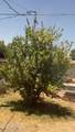 104 Pueblo Avenue - Photo 28