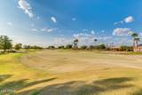 17242 Desert Glen Drive - Photo 51