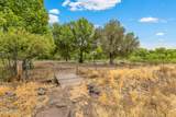 3751 Pearce Lane - Photo 63