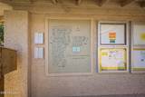 10410 Cave Creek Road - Photo 29