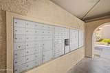 10410 Cave Creek Road - Photo 30