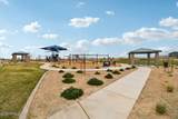 11613 Richards Drive - Photo 62
