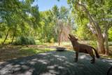 1420 Page Springs Road - Photo 34