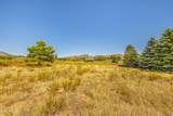 12870 Doyle Road - Photo 34