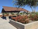 23067 Stacey Road - Photo 44