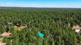 1233 Merzville Road - Photo 39